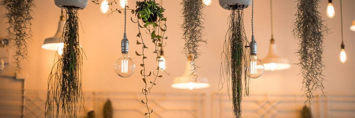 architecte interieur grenoble luminaire et plantes suspendues